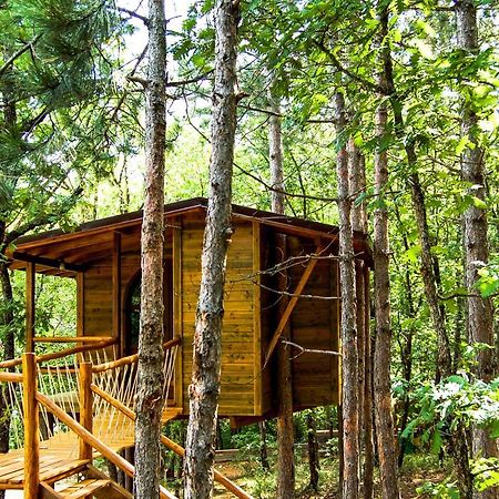 Agramada Bed & Breakfast Арнайа Екстериор снимка