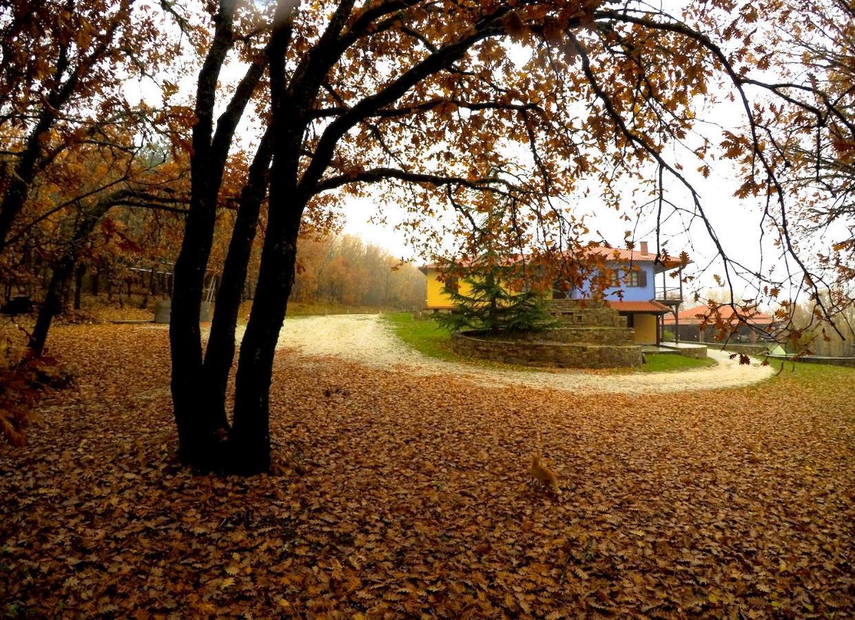 Agramada Bed & Breakfast Арнайа Екстериор снимка